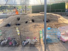 -前小桔亲子创意农场·草莓采摘·露营烧烤