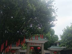 -荔湾湖公园