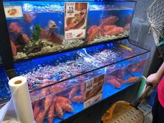 东星斑-盒马鲜生(皇庭广场店)