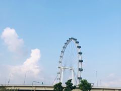 -新加坡摩天观景轮