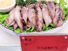 养生蒜蓉籽乌-悦港(悦港酒店)