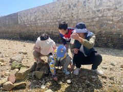 -养马岛旅游度假区