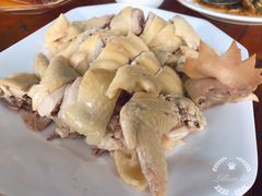 -八仔大富楼·河鲜(西江店)