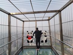 -339旋转餐厅(天府熊猫塔店)