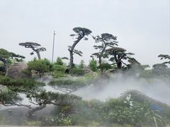 -罗红摄影艺术馆