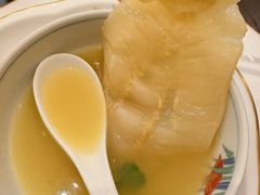 堂灼鳘鱼公肚-潮汕味道·煮海餐厅(金麟大厦店)