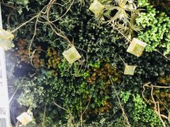 -潮粥荟·潮汕砂锅粥(朝阳大悦城店)