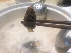 高山羊肚菌-煲大王猪肚鸡·椰子鸡火锅(红谷滩万达店)