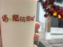 -猫的魔法密林(衣裳街店)