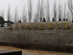 -永定河休闲森林公园