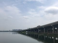 -丁香湖公园