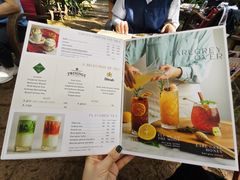-Fern Forest Cafe