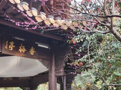 -杭州黄龙洞
