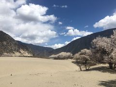 -佛掌沙丘