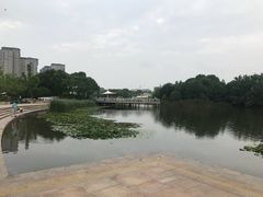 -新江湾城公园