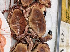 -半岛听涛蒸汽海鲜自助(K11店)