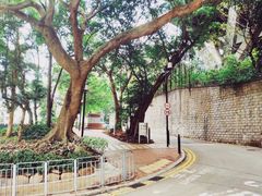 -香港大学