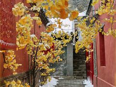 -潭柘寺景区