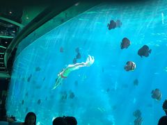 -瑞德姆美人鱼海底演艺主题餐厅(亚龙湾店)