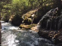 -九寨沟-树正沟