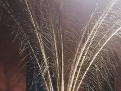 -都氏家DUSJOY(翡翠城店)