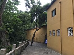 -灵岩山风景区