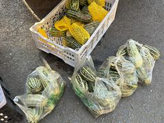 -东仓门早市