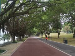 -南宁南湖公园