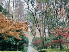 -上海怡沁园度假酒店