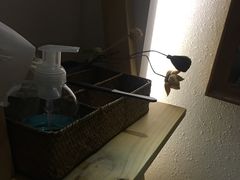 -锦初·禅意4K影院式足道·新中式SPA(茂业天地店)