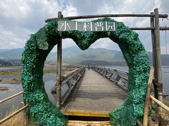 -腾冲北海湿地
