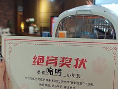 -宠颐生斯嘉宠物医院·急重症·心内科(谷阳北路分院)