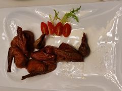 鸽子-皇朝尊会(龙之梦大酒店)