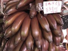 -南沙十九涌渔人码头-南门