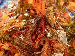 -破瓦寒窑烤羊排·鲜牛肉烧烤