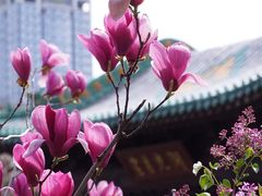 -晋商博物院