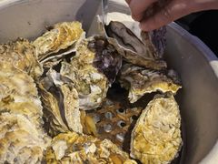 高压锅生蚝中一打-千岛蚝高压锅生蚝·人参火锅(白云万达店)