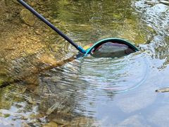 -众神白水涧景区