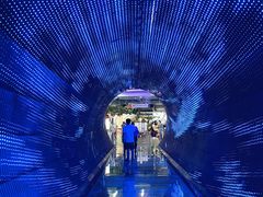 -正佳自然科学博物馆