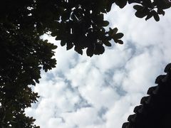 -中国昆曲博物馆