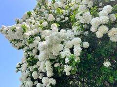 -宜兴龙背山森林公园