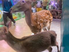 -正佳雨林生态植物园