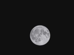 -瑞虹新天地月亮湾