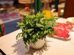 潮汕帝王菜-犇鼎牛潮汕牛肉火锅(新辰里学清路店)