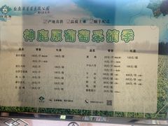 -白鹿原葡萄主题公园