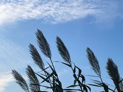 -东钱湖阳光沙滩