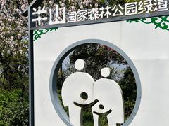 -杭州半山国家森林公园