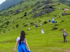 -大姆山草场