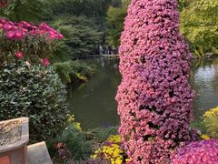 -杭州植物园