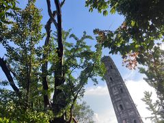 -上海佘山国家森林公园天马山园